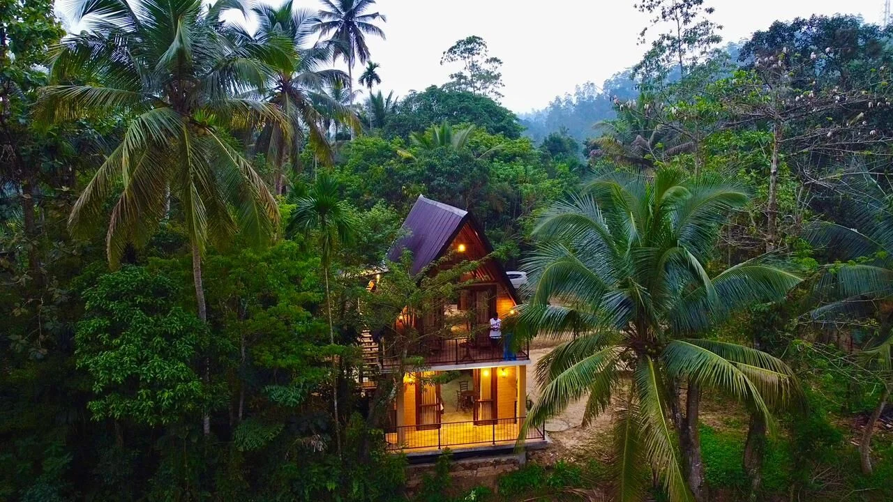 Luxury Hotel in Sinharaja - Expansive View of the Sinharaja Forest Canopy