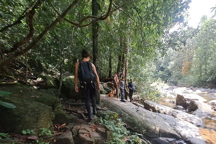 Luxury Hotel in Sinharaja - Lion Rock Epic Trekking Adventure